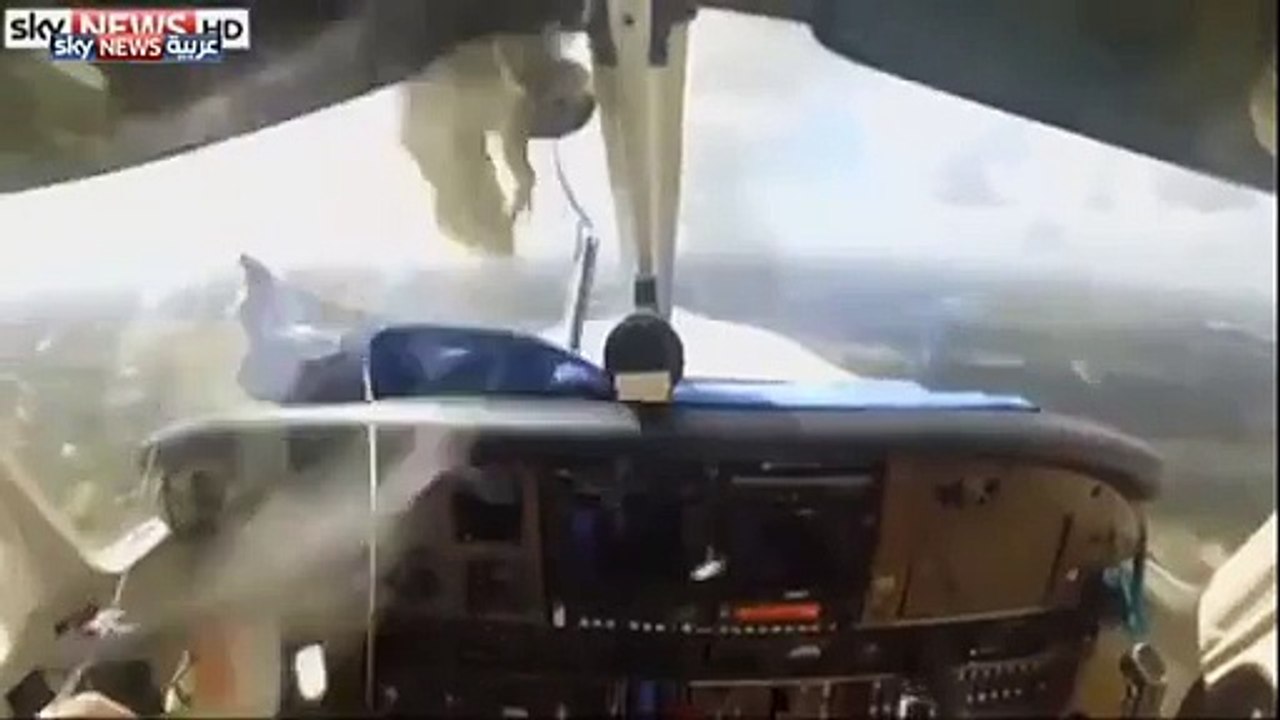 Bird Hit The Plane while Flying