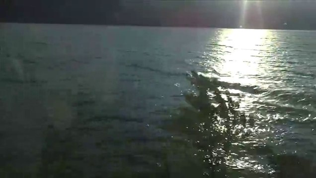 Stage cinéma à Talloires août 15/ 10 -14 ans