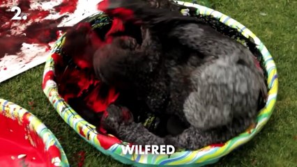 Netflix Suggestions - Top 10 TV Shows on Netflix