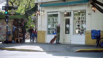 Yaşlı Bir Adam ve Sadık Köpeği