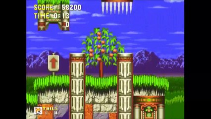 Sonic 3 and Knuckles - Marble Garden 2 Tails: 0:36 (Speed Run)