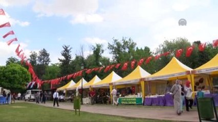 Çiçek, "Hemşehri Dernekleri Festivali Yöresel Kültürler Buluşması"Na Katıldı