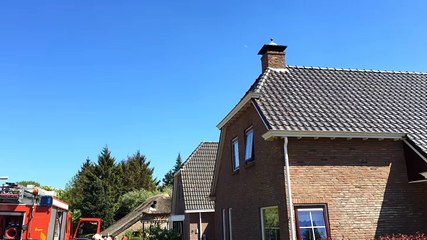 Hulpdiensten rukken uit voor bijen - RTV Noord