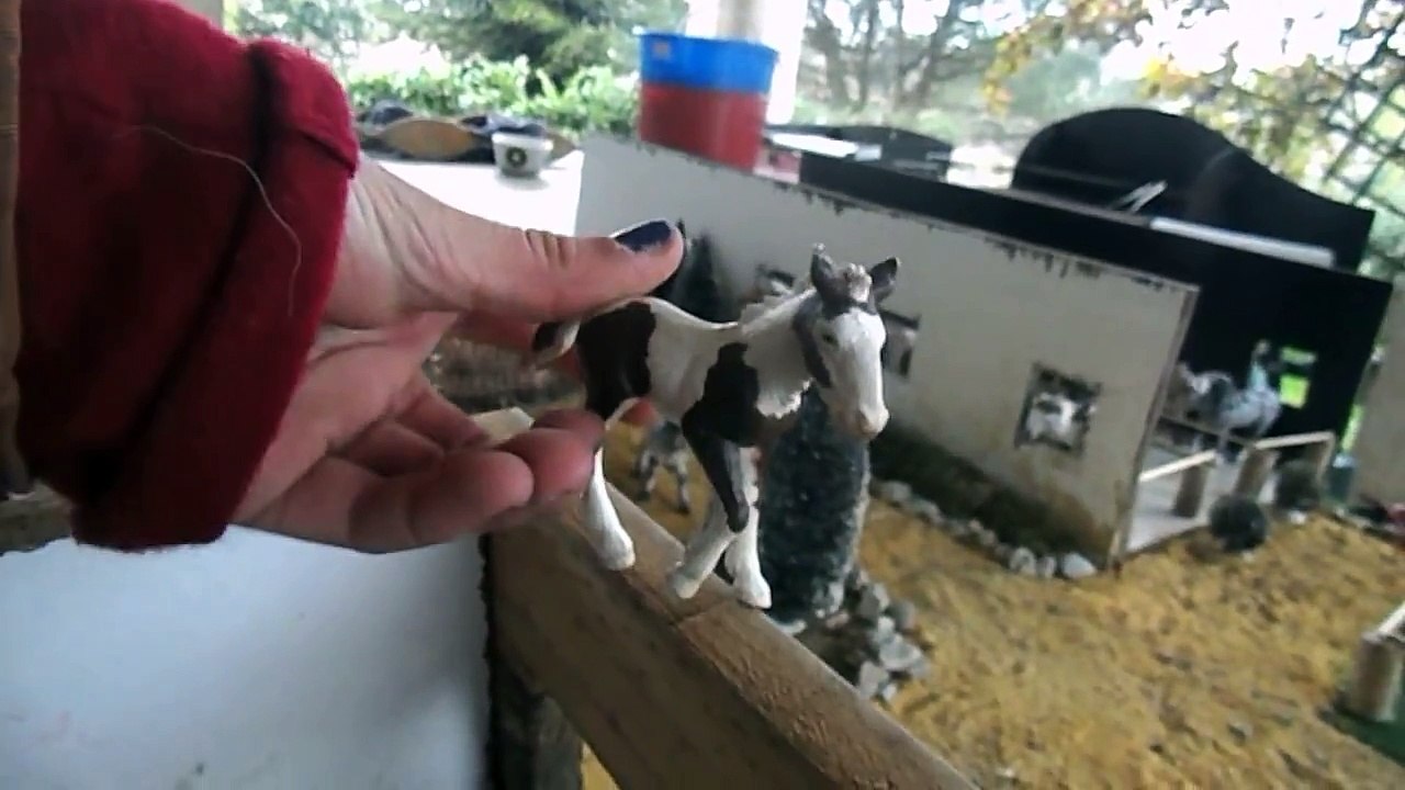 Nouveaux C.E ( Cabal de Ramounelle & Ranch des Chevaux Sauvages )