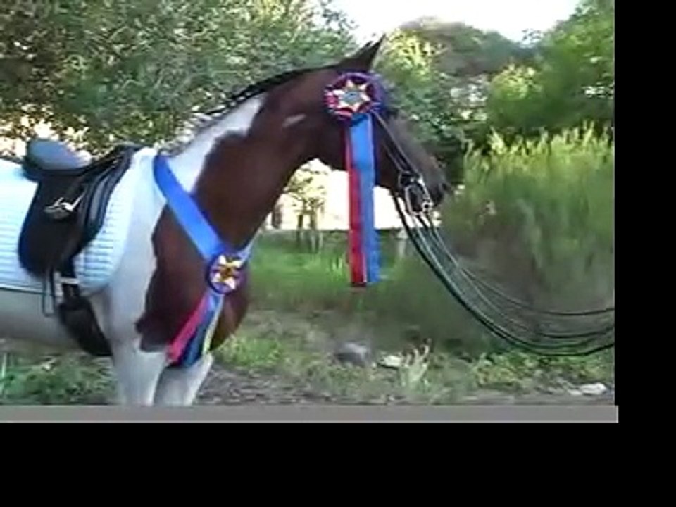 Minuet (PSG champion) learning one-tempis (NARRATED)
