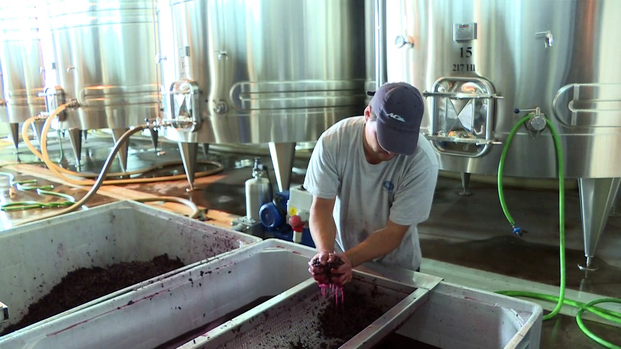 Argentine: du vin haut de gamme pour sauver les exportations