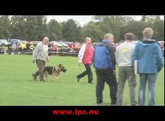 Svensk Skydd, Swedish Protection SM 11