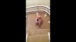 Cute & Lazy Labrador Puppy Slides Down Stairs ! - Ленивый Щенок Пкатился Вниз по Лестнице ! - Прикол !