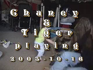 How to Dog playing with a Kid ...Its To Cute ...