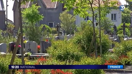 Nantes : un délinquant sexuel arrêté à temps ?