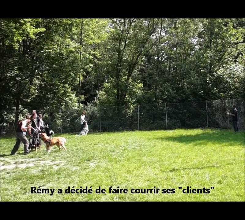 Rémy joue avec son équipe