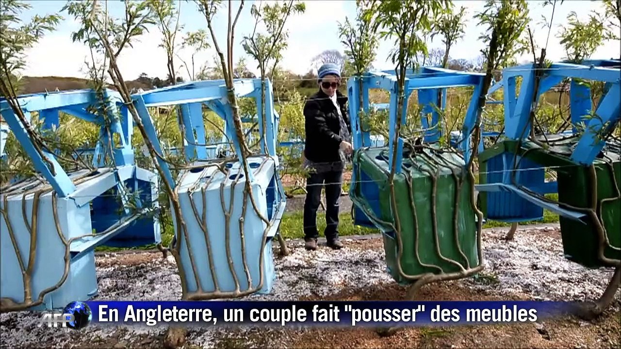 Angleterre: ils font "pousser" les chaises et les tables