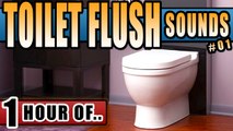 TOILET FLUSH SOUND for Sleeping and relaxation. Sleep Sounds and White Noise for 1 hour
