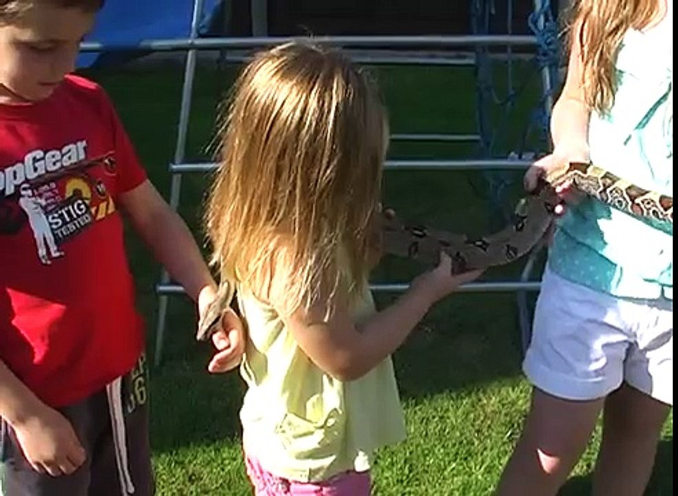 ( jack ) the Suriname red-tail boa constrictor and my children