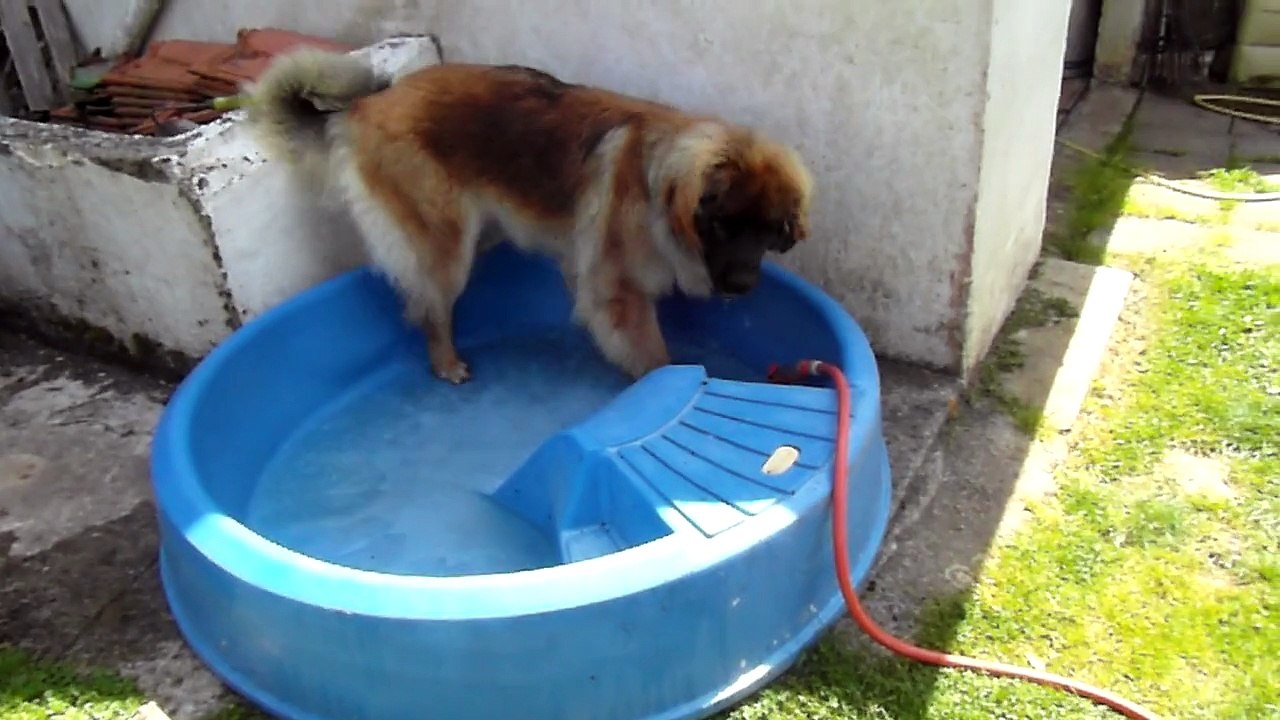 on a sorti la piscine