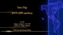 test flip DYS 250