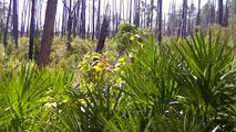 Southern Field Herping Flashback 2014