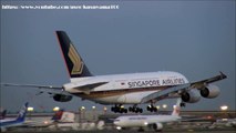 ☆シンガポール航空 (Singapore Airlines)Airbus A380（SQ11）☆Landing☆Narita RWY16R成田空港!さくらの山