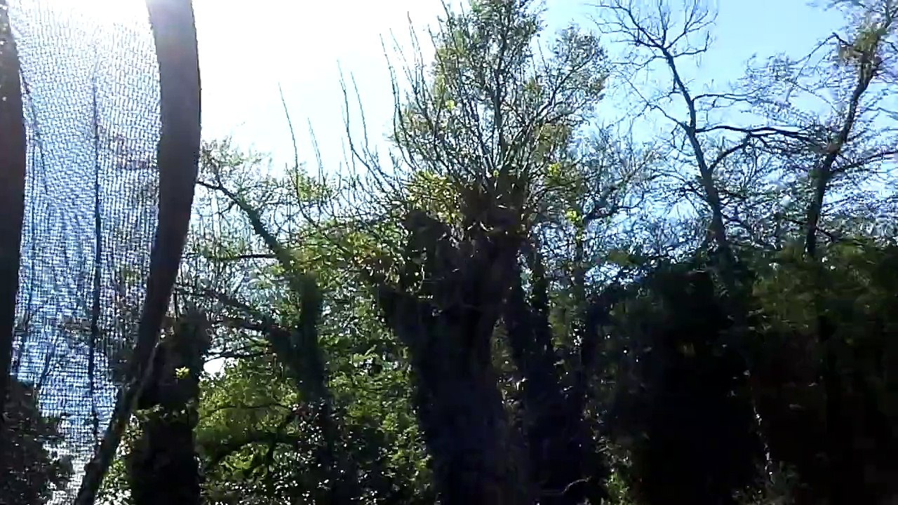 20150501_170055_Kercanet