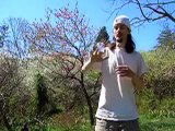 Basic Contact Juggling practice session