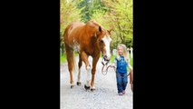 Why Kids Love Animals - Kids & Animals Best Friends