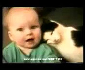 Gatti pazzi