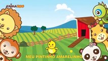 Animazoo - Pintinho Amarelinho - Músicas Infantis