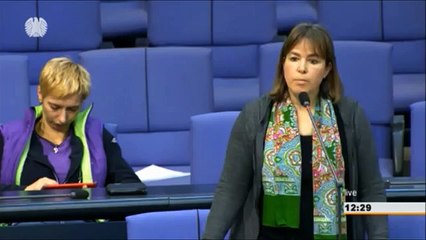 Die unqualifizierten Zwischenrufe des Volker Kauder