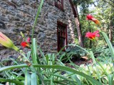 Lancaster PA Vacation Rentals | Olde Creek Cottage