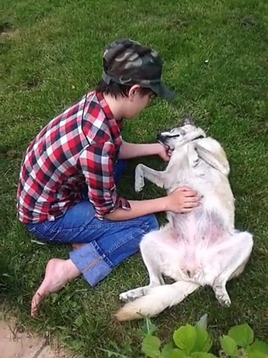 Scéance calin