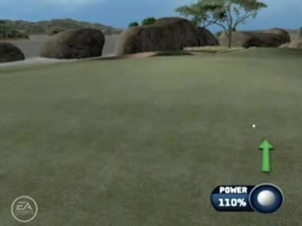 Tiger Woods pga tour 07 (Wii)