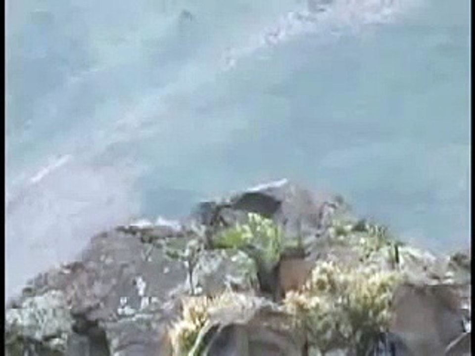 【閲覧注意！】50口径スナイパーライフル"何か"を狙撃している映像