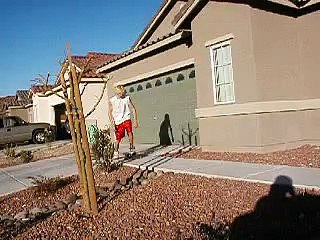 Skateboarding Testicles Crunch