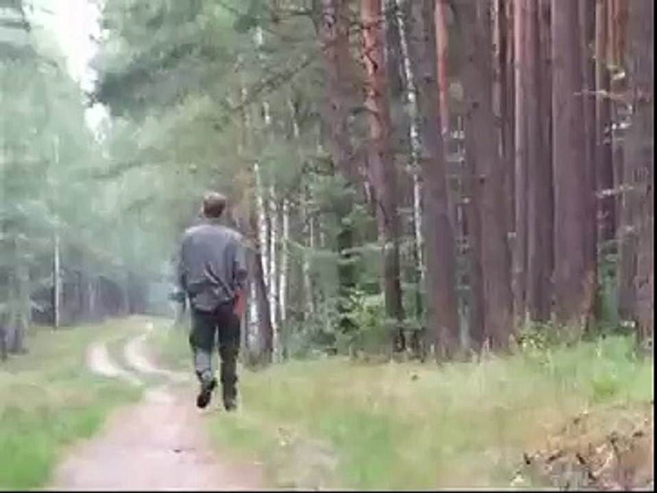 układanie wachtelhunda - ELBY (PASJI) z Wdeckiego Parku - posłuszeństwo