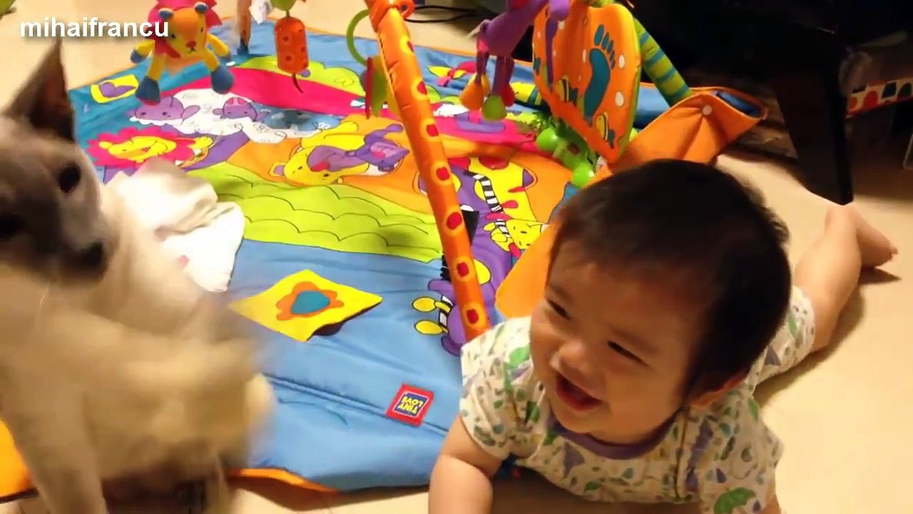 Funny Cats And Dogs Playing With Babies Compilation 2015