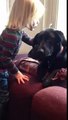 little girl gives kisses to the dog