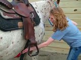 How to: Tack Up a Horse Western ~Saddle & Bridle~