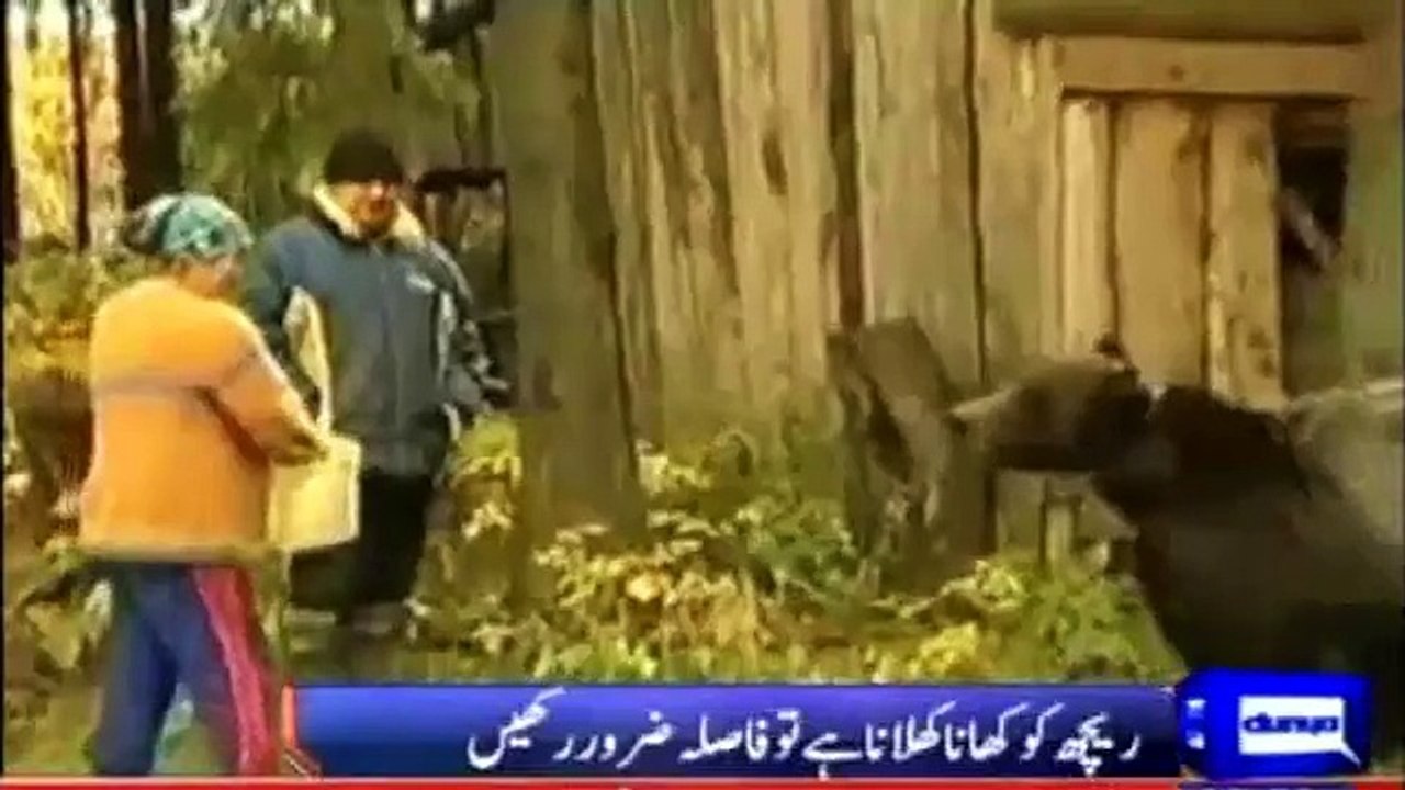Reach ka Khatoon per Hamla