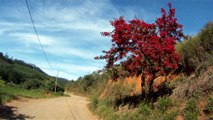 Serra da Mantiqueira, Caminhada rural, Birdwatching, Marcelo Ambrogi, Santo Antonio do Pinhal, 24 de maio de 2015, (11)