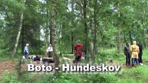 Bøtø hundeskov - Falster