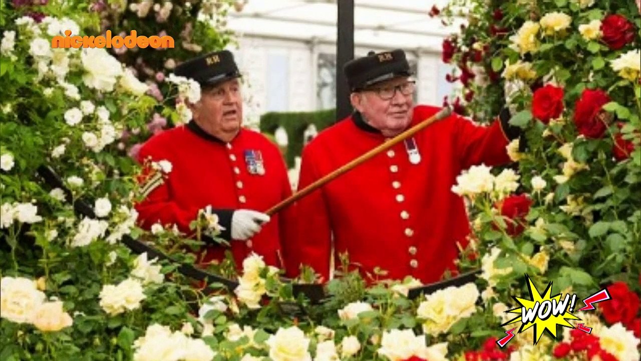 WOW! - S02: Επεισόδιο #94