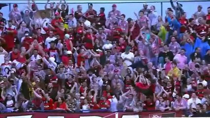 Avaí 2 x 1 Flamengo - GOLS - Brasileirão 2015 - 24/05/2015