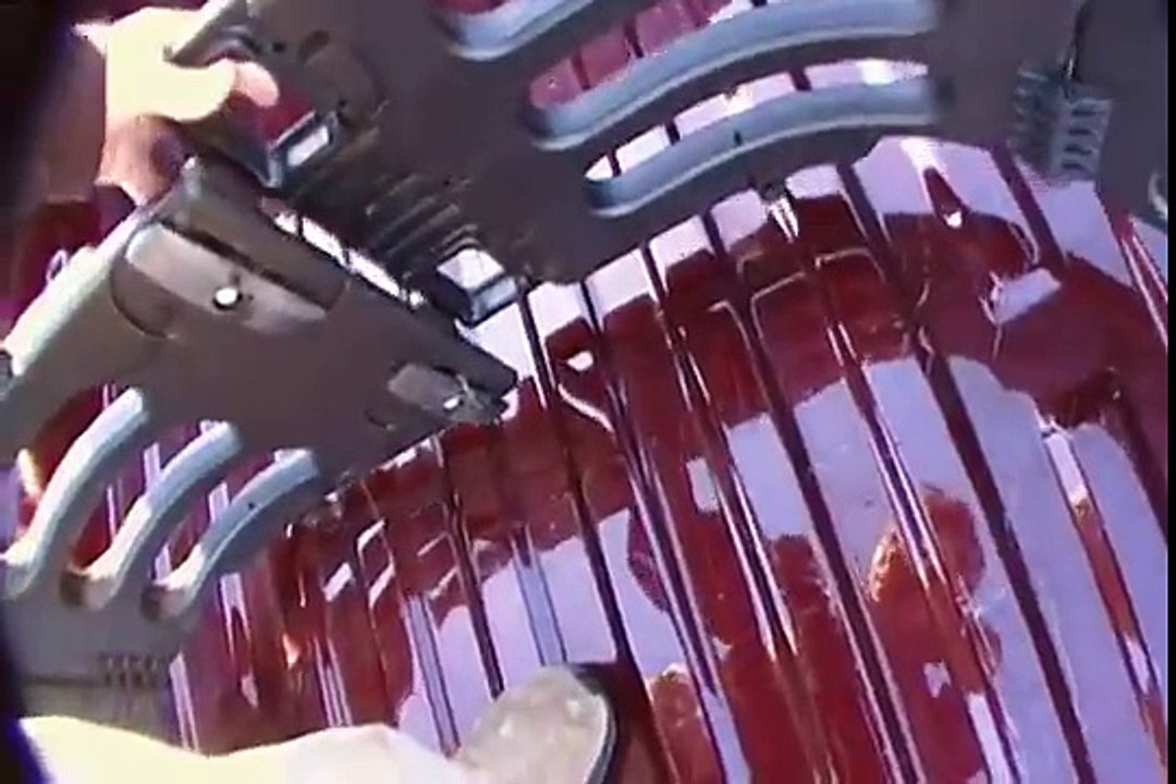 Ford Truck Flip Out Bed Extender/Storage Cage