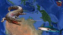 Brutus the giant crocodile devour bull shark in Australia