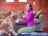 Dog Yoga Poses & Positions : Gazing Eye Contact, Yoga Poses for Dogs & Humans