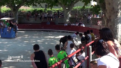 Toro Piscine St Etienne du Grès 13-08-13
