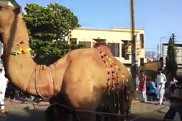 Work injury claim in London - Zero Ray Entertainment