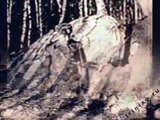 KGB ET-the Russian Alien-UFO soviet crash -TOP ZECRET VIDEO- 1947-URSS TV/original 16 mm film.