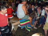 Poor mexican donkey and stupid drunk tourists