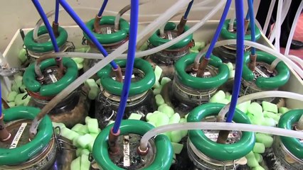 Biodegradable plastic, mater-bi for a sustainable environment